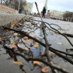 Сильный ветер создает проблемы автоводителям