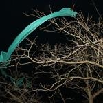 Ветер в Риге ломает деревья и крыши