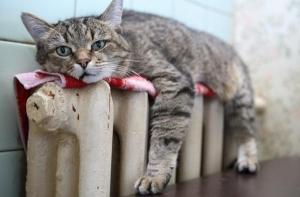 Жильцы задолжали за отопление миллионы латов