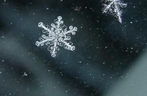 На следующей неделе ожидается снег