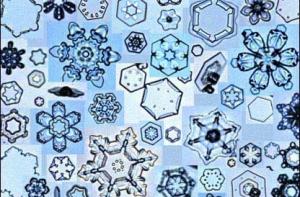 Синоптики: снег выпадет на Новый год