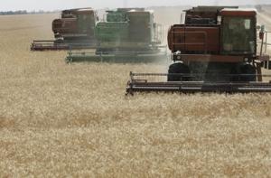 Мошенник обманывал фермеров через Интернет