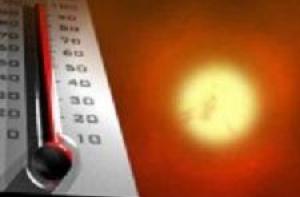 Аномальная погода разбудила клещей