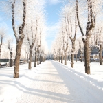 В Латвии похолодало до -12