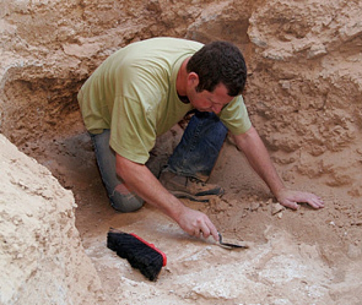 Найден древний пропуск в публичный дом
