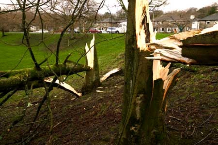 Буря пока не принесла ощутимых неприятностей