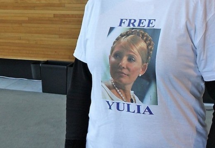 Калниете пришла в Европарламент в футболке в поддержку Тимошенко