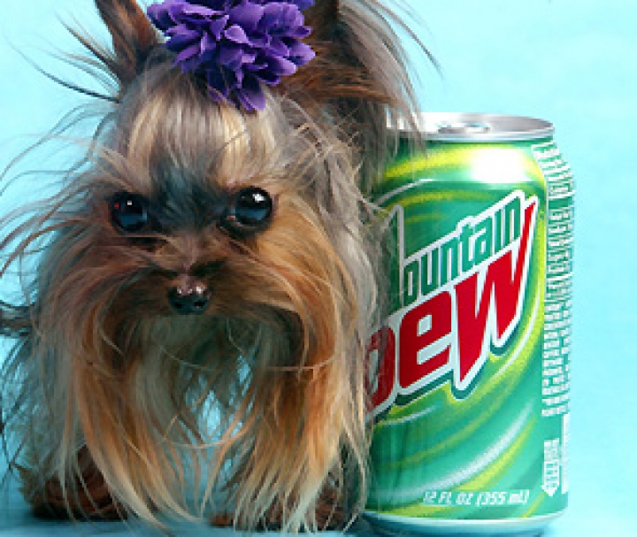 Газировка Pepsi растворяет мышей