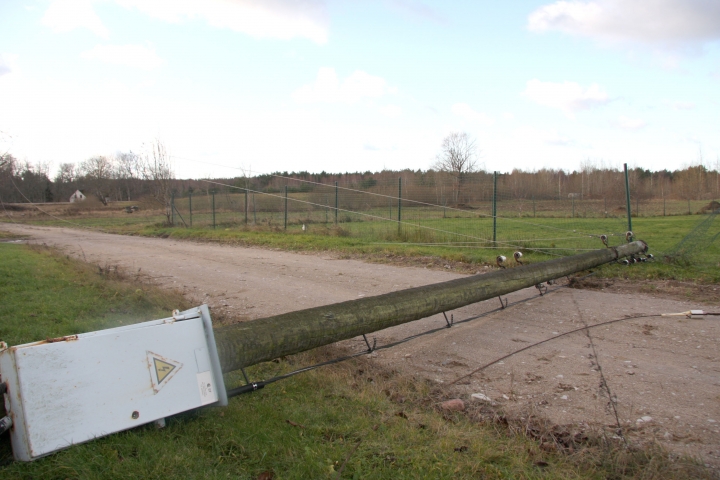 В Курземе скорость ветра достигла урагана