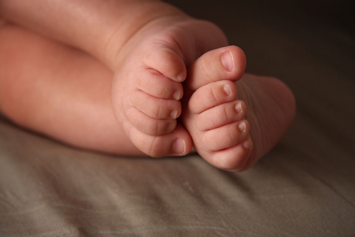 Почти все малыши из Baby box уже усыновлены