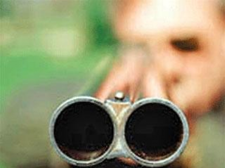 Теплая зима навредила животным