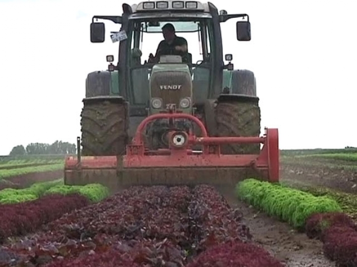 Крестьяне поедут в Берлин жаловаться на дискриминацию