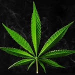 Депутат: русские ничего не делают просто так