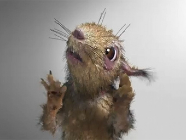 На «Адскую белочку» надели белую ленту (ВИДЕО)