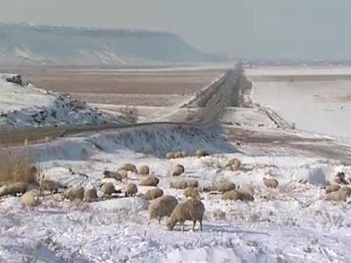 Холода могут взвинтить цены на продовольствие