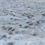 Синоптики предупреждают о сильном снегопаде