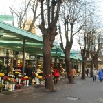 7 февраля состоится конкурс торговых мест цветочного рынка «Сакта»