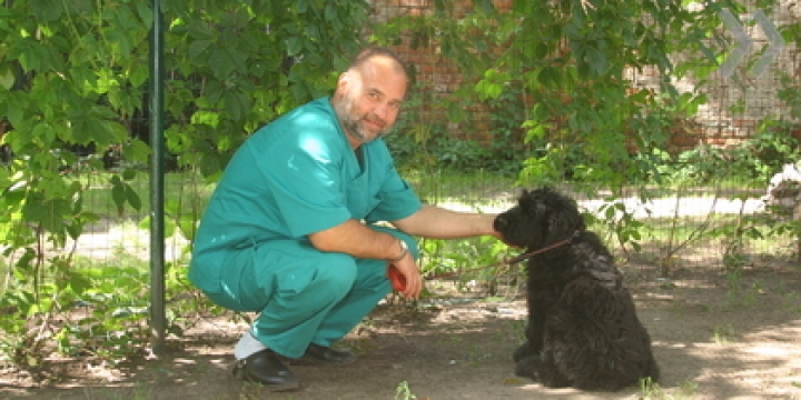 Некоторые латыши проголосуют «за» русский