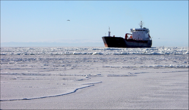 В Балтийском море работают уже 12 ледоколов