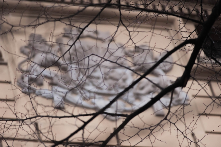 Размер пожертвований партиям сократят вдвое