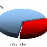Латвийцы не хотят видеть общество MMM 2011 в своей стране