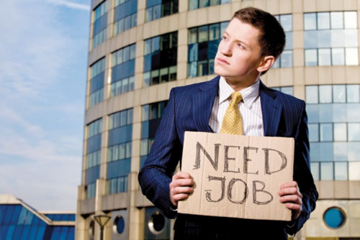 Количество занятых рабочих мест выросло на 4%