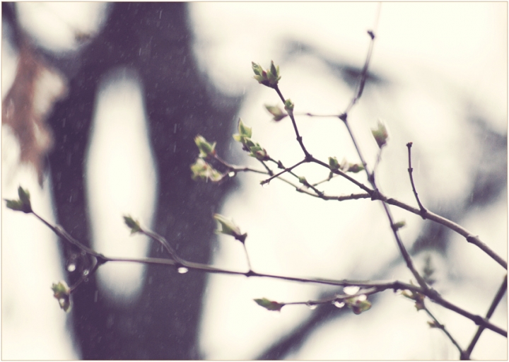 Синоптики обещают приход метеорологической весны