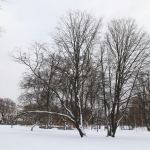 Мороз отступит на выходных