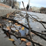 Во вторник Латвию накроет шквальный ветер