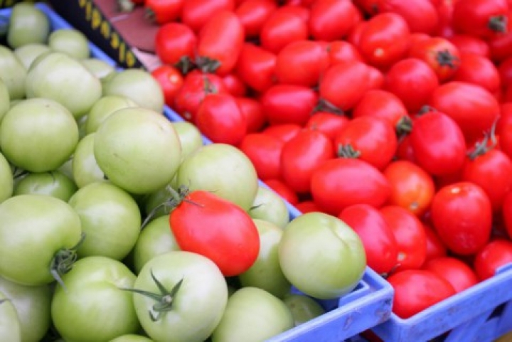 Посев семян овощей начнется раньше