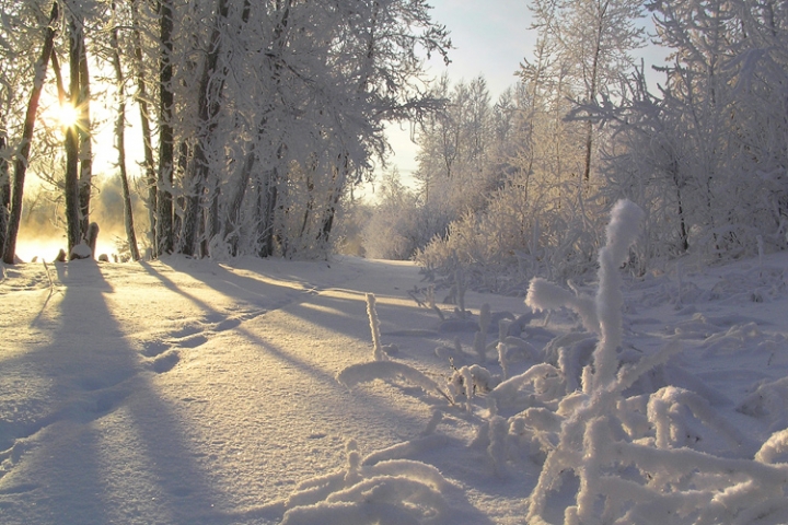 Эта зима оказалась самой снежной за последние 90 лет