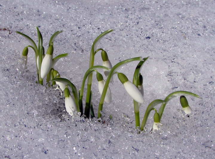 Синоптики: с каждым днем в Латвии заметно теплеет