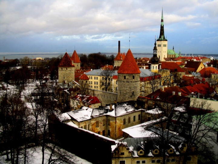 В Таллинне прошел пикет против дня памяти легионеров