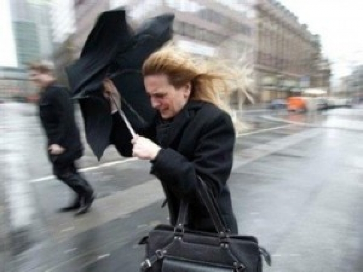 Синоптики обещают сильный ветер