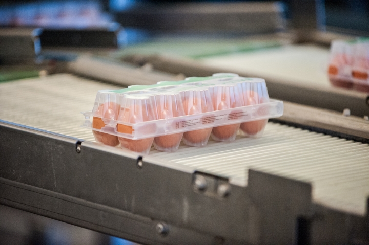 Яйца в магазинах уже подорожали на 40%