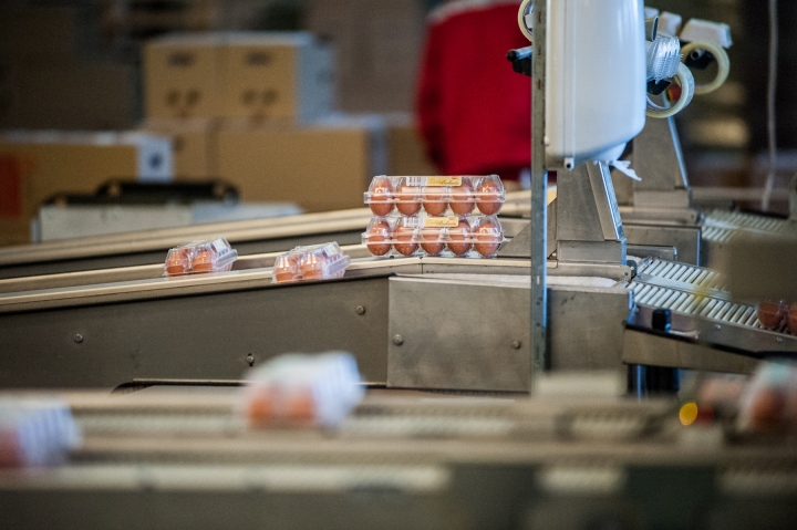 Перед Пасхой цены на куриные яйца вырастут на 40%