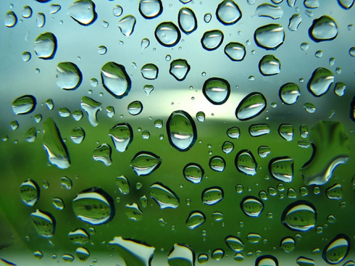 На следующей неделе будет теплая и дождливая погода