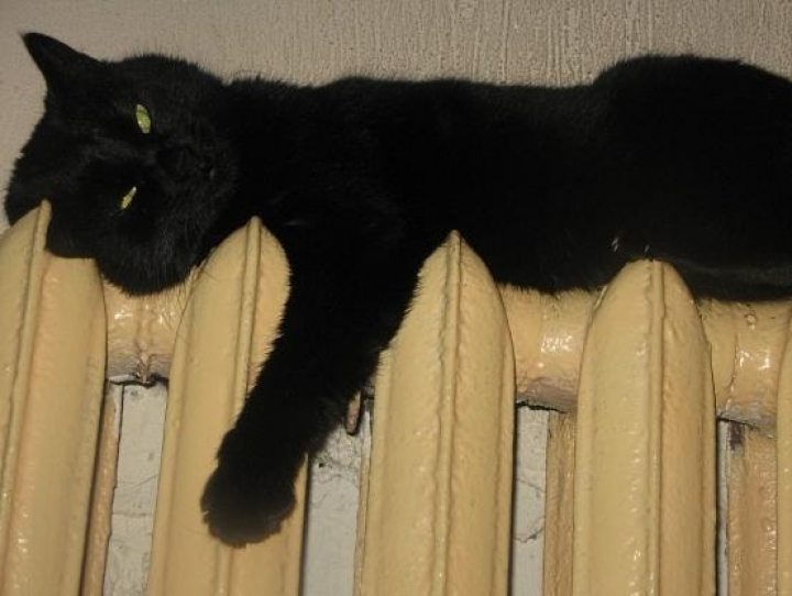 Рижане за зиму за отопление задолжали 14,4 миллиона латов