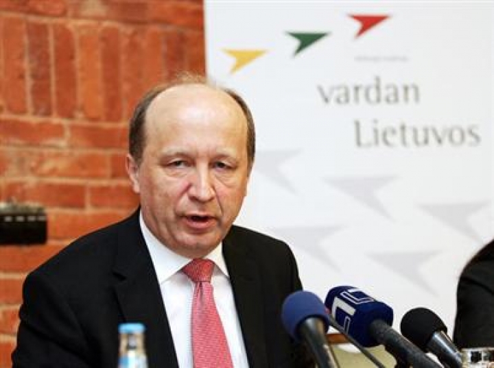 Кубилюс пояснил Павлютсу значение газового терминала