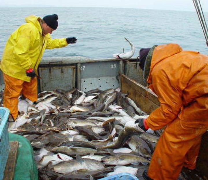 Премьер: Латвия поддерживает принципы реформы ЕС в отрасли рыболовства