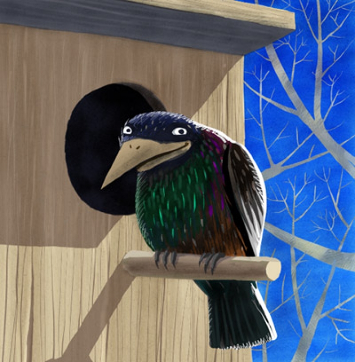 Рижский зоопарк приглашает на «Дни птиц 2012»