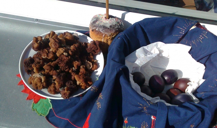 Рижанка на Пасху нашла в лесу грибы