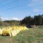 Активист субботника намекнул на нечистоплотность русскоязычных