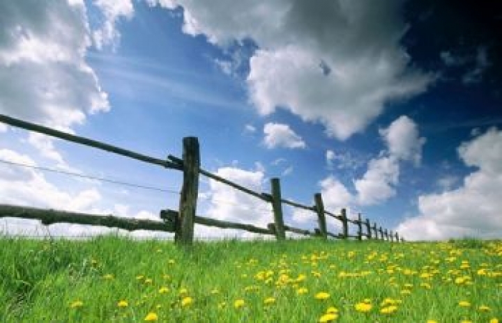 На выходных в Латвии будет тепло и облачно