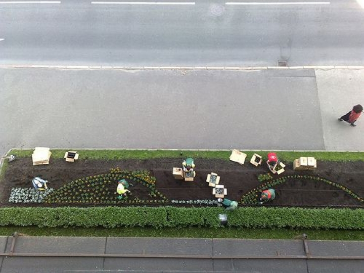 У Кабинета министров в этом году будут расти капуста, свекла и фасоль