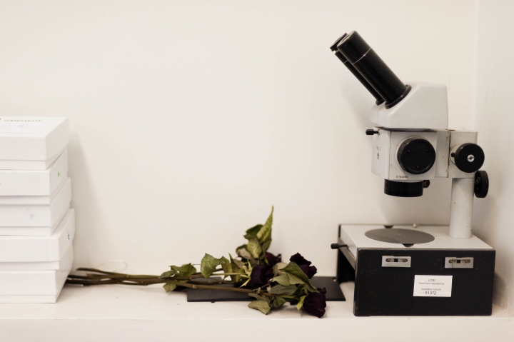 Академик: за 20 лет ученых в Латвии заменили чиновниками