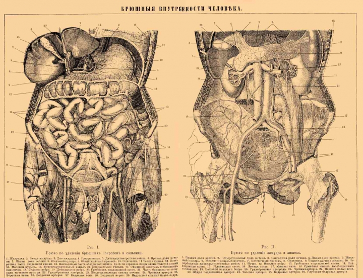 В США мужчина закидал полицейских своими внутренностями