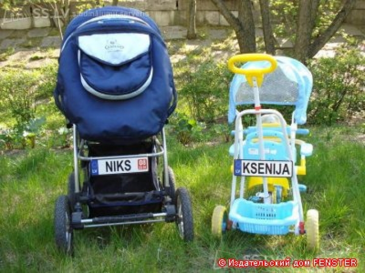 Через 5 лет рождаемость в Латвии упадет до 10 тыс. детей в год