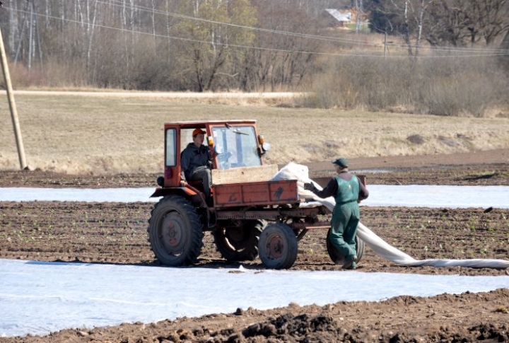 Петицию балтийских крестьян подписали 60 тыс. человек