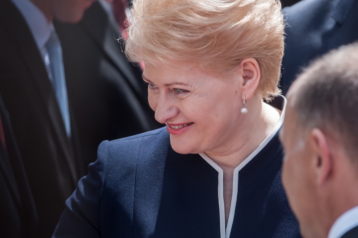 Президент Литвы: проект Висагинской АЭС должен стать региональным